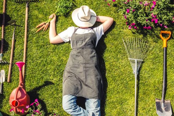 10 Astuces pour un Jardin Éclatant Toute l’Année